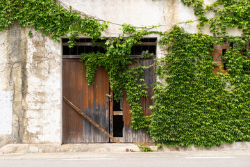 Fototapeta na wymiar Broken wooden door with greenery