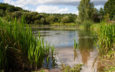 A picturesque pond in the village. Old buildings, shady forest and a small lake.