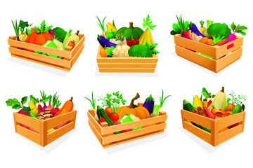 Mixed vegetable and greens in wooden boxes at market place or store. Isolated icons of fresh farm products. Eco food, healthy nutrition. Retail trade and wholesale, purchase and delivery theme.