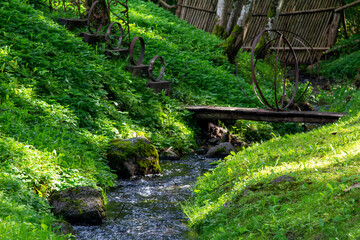 Small and fast stream in the old forest. 