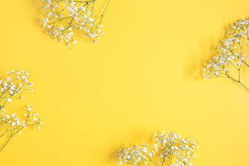 Yellow floral background. White flowers gypsophila on yellow background. Flat lay, top view, copy...