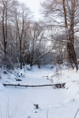 a narrow river in the forest in winter