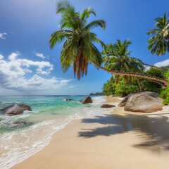 Tropical paradise beach. Sandy beach with palm and turquoise sea. Summer vacation and tropical beach concept.	