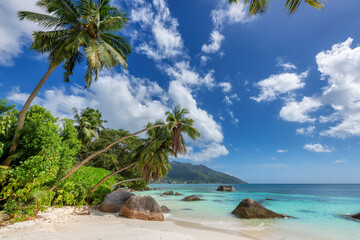 Paradise tropical beach with palms and turquoise sea in Beau Vallon Beach, Mahe, Seychelles. Summer vacation and tropical beach concept.  