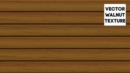 Maple wood texture. Vector illustration