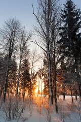 Fototapeta na wymiar sunset with orange shades in the winter season