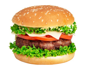 Tasty cheeseburger isolated on the white background