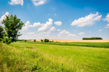 Fields in the hungarian countryside in summer