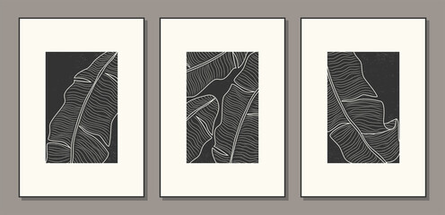 Set of minimalist botanical line art with banana palm leaves, abstract collage