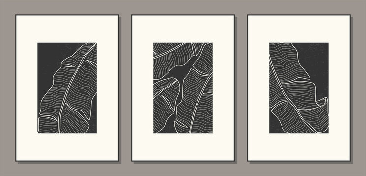 Set Of Minimalist Botanical Line Art With Banana Palm Leaves, Abstract Collage