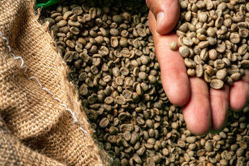 green unroasted coffee beans closeup