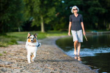 Naklejka na ściany i meble A woman and a cute Australian Shepherd dog walking along the lakeside.