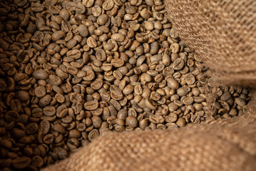 green unroasted coffee beans closeup