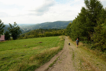 Górski szlak w Beskidzie Śląskim