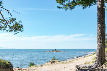 Fototapeta na wymiar Ground back road with pine along calm blue sea coast with little island at summer sunny day, beautiful scenic desert landscape of walking vacation on lake Baikal, shore stroll away