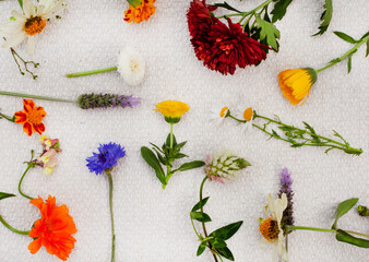 springtime wildflower mixture in flat lay on rustic surface