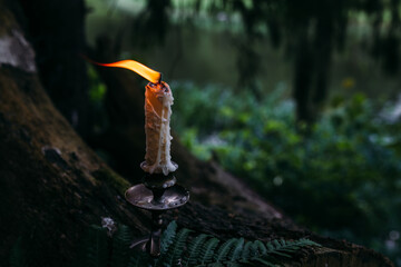 Burning candle in enchanted forest. Occult, esoteric concept.