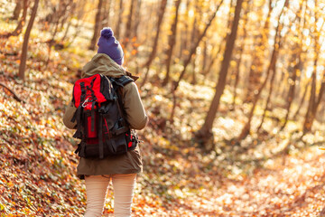 Active woman hiking on a sunny autumn day