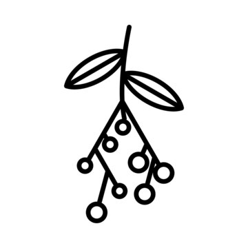 Elderberry Vector Line Icon Design