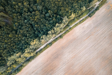 Aerial top down drone shot of rural countryside road between crop field and forest