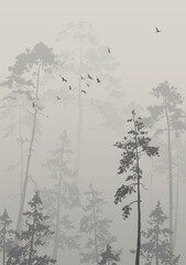 Vector background, with a flock of birds flying over the pine forest. Neutral tones.  - 452465875