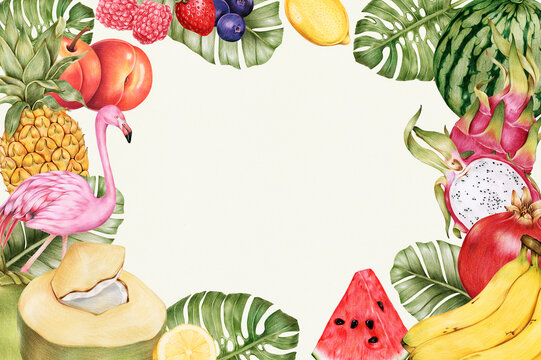 Hand drawn tropical fruit frame illustration