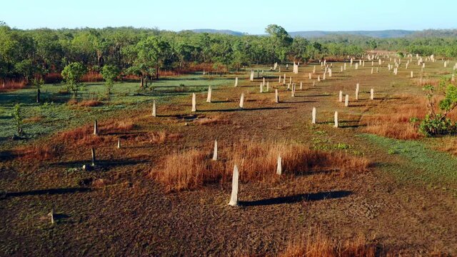 Aerial View Of Magnetic Termite Mounds In Litchfield Park, Australia.