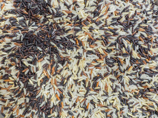 White rice,Brown rice,Black rice, Mixed rice and Riceberry
