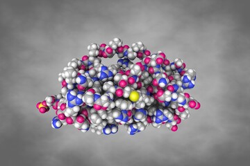Space-filling molecular model of human interleukin-11. Atoms are shown as color-coded spheres: carbon (grey), hydrogen (white), oxygen (red), nitrogen (blue), sulfur (yellow). 3d illustration
