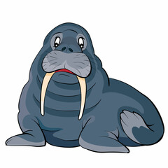 old wise walrus character, cartoon illustration, isolated item on white background, vector,