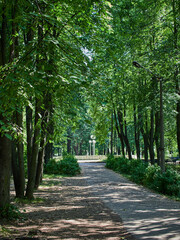 path in the park