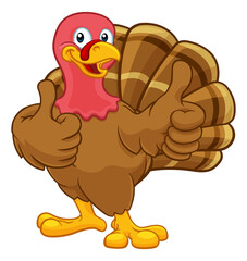 Turkey Thanksgiving or Christmas Cartoon Character