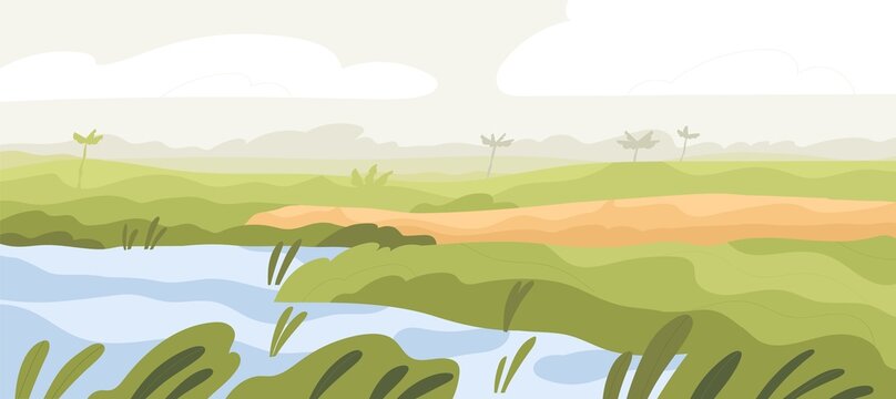 Agriculture rice field landscape. Asian farm land with crop and water. Indian farmland in summer. Plantation panorama with sky, mist and grass. Colored flat vector illustration of rural scenery