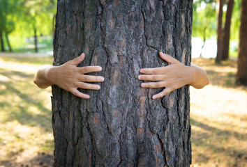 Hugging a tree trunk in a forest