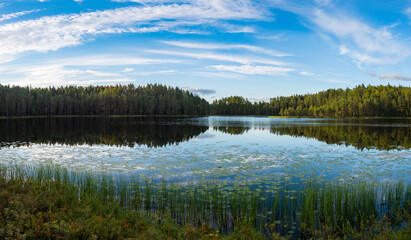 Fototapeta premium Panorama view of a forest lake in Karelia (northwest Russia), which reflects the forest and clouds