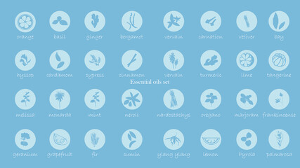A large set of essential oil icons. Plants for aromatherapy. Oil icons for stores and magazines. The best herbs for aromatherapy. Set of medicinal plants. Vector collection for perfumes and cosmetic.