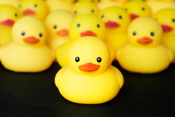 Closeup of rubber duckies