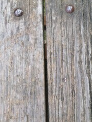 Naklejka premium old wood texture