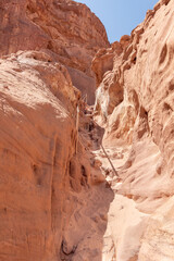 Fototapeta premium Fantastically beautiful landscape in summer in Timna National Park near Eilat, southern Israel.