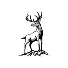 silhouette of a deer, hand drawn illustration