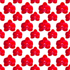Vector pattern from red orchids. Red orchids.