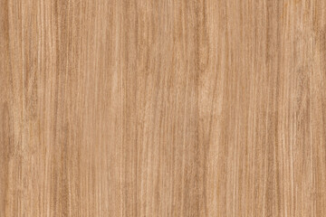 Oak wood textured design background
