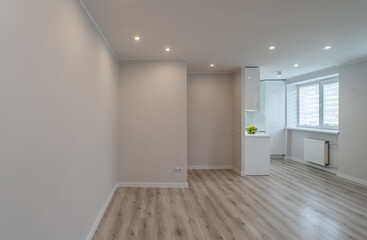 Contemporary interior of stylish studio apartment after renovation. Empty light living room. White kitchen. Green apples.