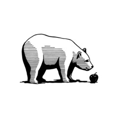 bear and apple, hand drawn illustration
