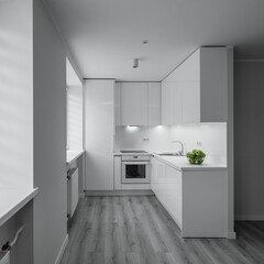 Luxury studio apartment after renovation. Bright interior. Parquet floor. White kitchen set. Green apples.