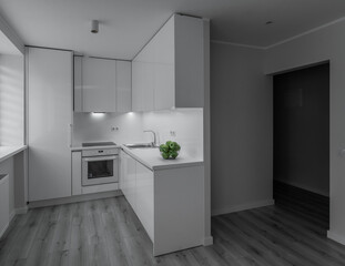 Luxury studio apartment after renovation. Bright interior. Parquet floor. White kitchen set with sink, oven and fridge. Green apples.