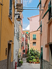 typical Ligurian alley called caruggio