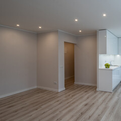 Bright interior of contemporary renovated apartment. White kitchen with fridge and oven. Parquet floor.