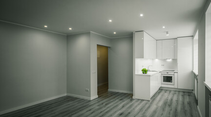 Modern interior of luxury studio apartment after renovation. White kitchen with fridge and oven. Living room without furniture.