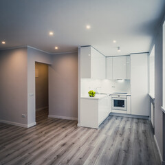 Modern interior of luxury studio apartment after renovation. White kitchen with fridge and oven. Living room without furniture. Panorama view.